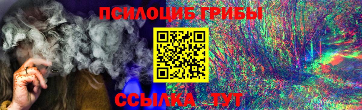 Галлюциногенные грибы мицелий  где найти наркотики  Псилоцибиновые грибы мицелий  Нефтеюганск  Вход с VPN 